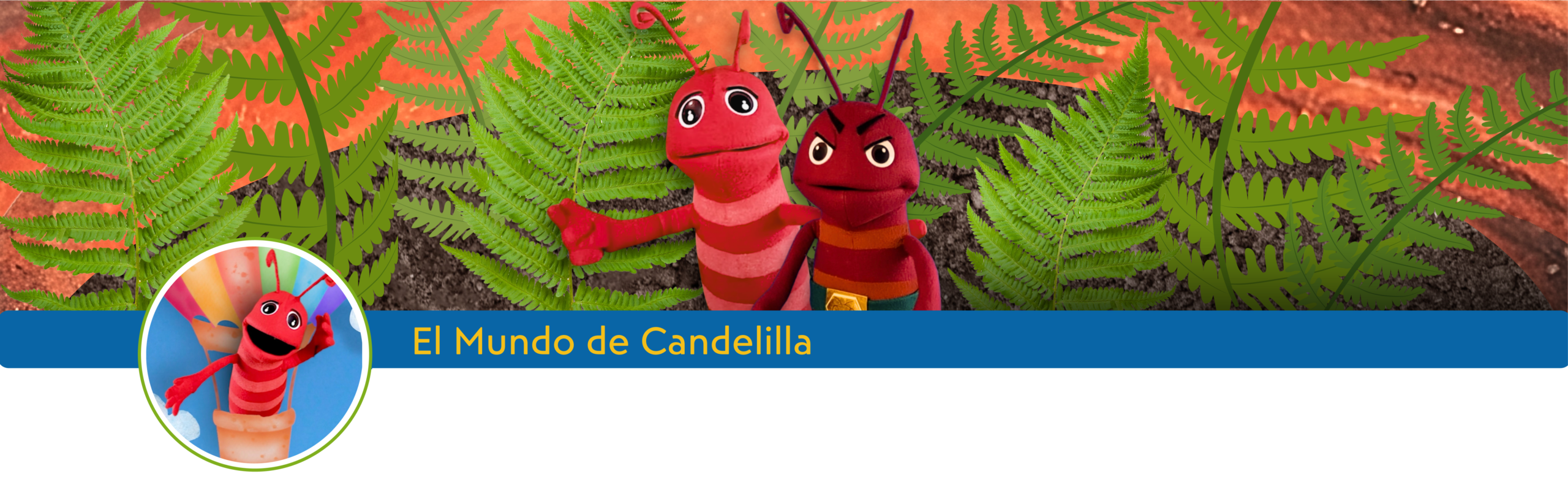 banner-mundo-de-candelilla